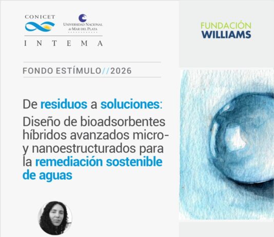 Proyecto del INTEMA recibirá financiamiento de la Fundación Williams