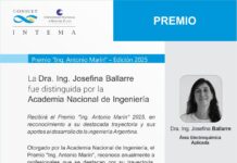 La Academia Nacional de Ingeniería distinguió a la investigadora del INTEMA Josefina Ballarre